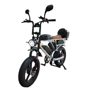 Nieuwste 2024 Yolin B2 Nieuwe Aankomst 52V Elektrische Fiets 2000W Dual Motor Dual Accu 48a Fat Tire Aluminium Frame 65-70kmh