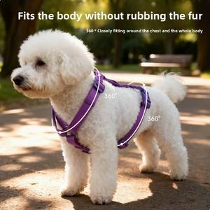 Conjunto de Correa y Arnés para Perro de <span class=keywords><strong>PVC</strong></span> con Color Degradado y Logotipo Personalizable, Arnés para Perro Impermeable, Ajustable y de Estilo Moderno - Product Image 4