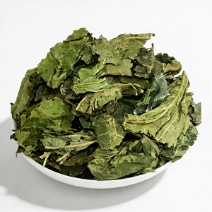 Yüksek Kaliteli Toplu Doğal Kurutulmuş Dut Yaprağı Fırınlanmış Gevşek Uzun Şekilli Katkısız 1kg Anhui Fuli Hall 12 Ay Raf Ömrü - Product Image 1