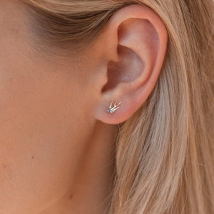 Vente en gros de clous d'oreille en titane G23 ASTM F136 16G à filetage interne, pour piercing labret, tragus, hélix, daith, bijoux de piercing corporel tendance - Product Image 6