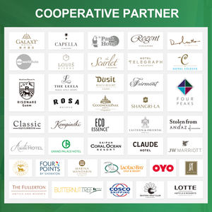 卸売ホットセール環境に優しいファッション高級カスタムホテルアメニティセットミニ裁縫キット高級ホテル用品セット - Product Image 5