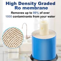 Membrane d'osmose inverse RO NSF WQA ISO9001 ULP BW 2012 100G 125G 150G 200G pour filtre à eau, remplacement pour purificateur et système RO