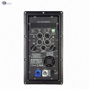 โมดูลเพาเวอร์แอมป์เสียง Dsp 1000 วัตต์ พร้อมช่องต่อ XLR สำหรับลำโพงซับวูฟเฟอร์ในสตูดิโอ โมดูลเพาเวอร์แอมป์คลาส D - Product Image 3