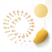 Éponge de maquillage triangulaire lavable hydrophile non consommable pour influenceurs