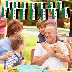 ขายส่งร้อนแรง ธงชาติซีเรียขนาด 14x21 ซม. ทำจากโพลีเอสเตอร์ พิมพ์ดิจิทัลรวดเร็ว เหมาะสำหรับงานเฉลิมฉลองเทศกาล - Product Image 2