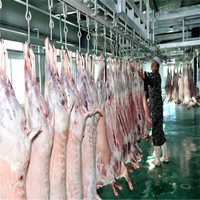 Chaîne de traitement de viande complète pour abattage de moutons, haute productivité, équipée d'un moteur, d'une pompe et de roulements, entièrement automatisée