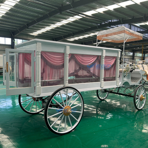 Popular Coche Fúnebre Eléctrico Blanco para Transporte Especial, Carroza Fúnebre Personalizada sin Caballos - Product Image 6