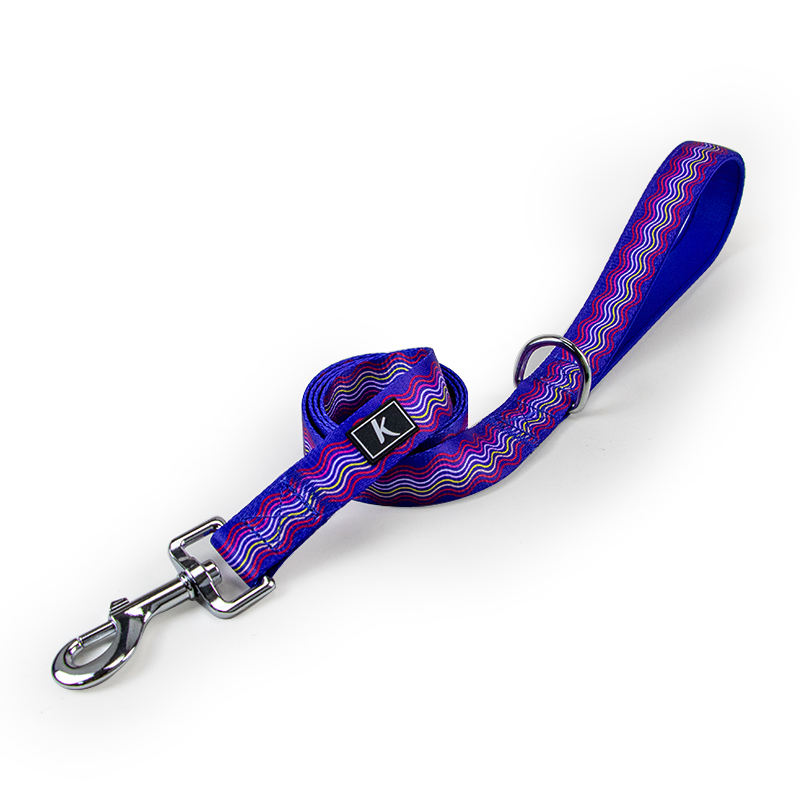 ฤดูร้อน + ป่าฝนเขตร้อน