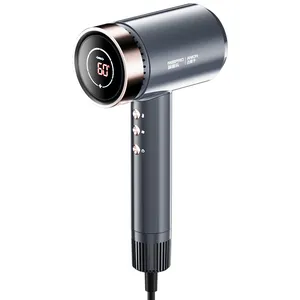 Salon Hair Blow Dryer Wholesale Lightweight Fast Dry Low Noise Hammer Portable Professional Household Ionic Hair Dryer