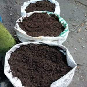 Engrais organique premium à base de vers de terre pour l'agriculture, les fermes, les jardins potagers, les vergers et le jardinage paysager - Product Image 2