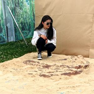 Jeu éducatif pour enfants, péillons de dinosaure dans le sable, - Product Image 1