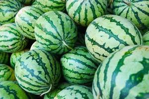 Biocontrol para plantas Dieases Fertilizante Rico en nutrientes Promueve el crecimiento de enraizamiento Gránulo Aminoácido húmico - Product Image 2