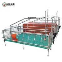 Équipement d'élevage porcin, stalles de mise bas pour truies galvanisées sur mesure / enclos de mise bas / cage de mise bas