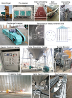 Silo à fond conique plat/en forme de trémie pour céréales, silo à soja, silo de stockage en acier, fabricant en Chine