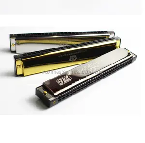 Promotional Harmonica 24 Holes Mouth Organ With Harmonica Case