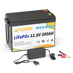 Noi Fllyrower 12.8V 300Ah LiFePO4 batteria agli ioni di litio batteria integrata BMS batteria ricaricabile 12.8v 300Ah - Product Image 2