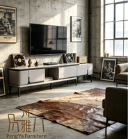 Ensemble de meubles de salon Nodric Light Luxury, table basse TV avec plateau en marbre, style nordique, table centrale pour usage domestique