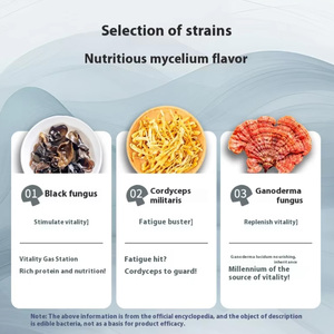 Bột thay thế bữa ăn đóng hộp cao cấp: bổ dưỡng, tốt cho sức khỏe & tiện lợi, được làm giàu với nấm đen & Đông Trùng Hạ Thảo - Product Image 4