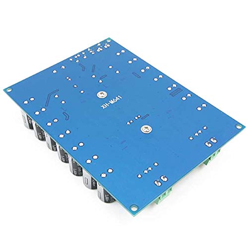 dc 12v-24v TPA3116D2 100W scheda amplificatore mono digitale 100W
