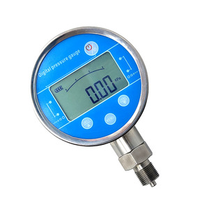 Medidor Digital de Alta Precisión 0.5% y Salida 4-20mA, Control de Relé Impermeable IP65 para Hidráulica YW-100B, Registrador de Datos - Product Image 2