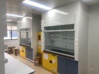 Hotte à fumées tout acier ASHRAE 110, hotte à fumées en acier PP, équipement de laboratoire, usine chimique, hotte d'extraction de fumées universitaire