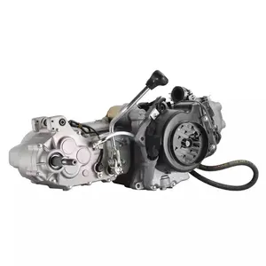 Hoge Kwaliteit Gy6 250cc Motor Met Achteruitversnelling Geschikt Voor Motorfiets En Atv 125cc 150cc