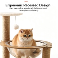 Direct usine : Arbre à chat capsule spatiale en acrylique transparent avec lit pour chat et griffoir en sisal, mobilier pour chat en bois, vente en gros