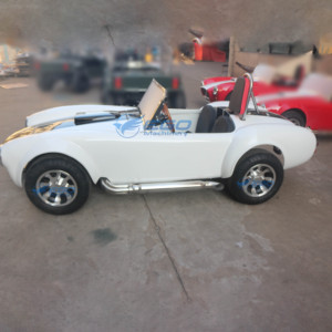 Voiturette électrique biplace de haute qualité, blanche, classique, pour le tourisme, nouvelle énergie, modèle Cobra spécial, transport spécial - Product Image 5