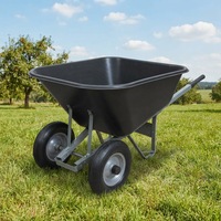Bac de remplacement en plastique robuste pour brouette agricole, grande capacité d'eau 160L, capacité de charge 200KG (6CBF), modèle WB6418, pour sable