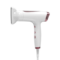 Nouveau modèle de sèche-cheveux professionnel multifonctionnel à faible bruit, portable, pour la maison, les voyages, mini-sèche-cheveux pour hôtel
