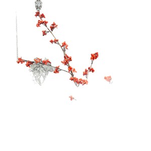 Fleurs artificielles en soie Celastrus du Sud, bouquet pour décoration de mariage, accessoires de photographie domestique, moulage par injection - Product Image 5