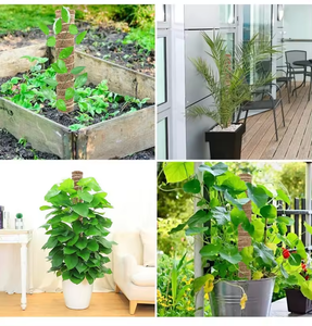 Top người bán tùy chỉnh Stackable xơ dừa rêu cực cho các nhà máy nhỏ leo cây cực Phụ kiện thiết kế sân vườn Dừa Xơ dừa Totem cực - Product Image 4
