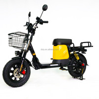 Sepeda Listrik Harga Terjangkau SKD Kecil Nan Indah 20in 60V 20ah 30AH 50Ah Moped Monster E Scooter