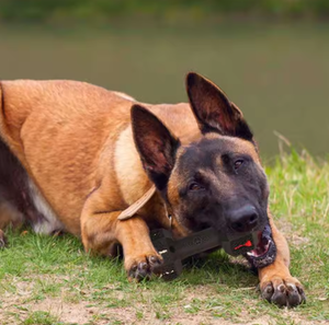 Juguete Masticable para Mascotas Resistente a Mordidas, Juguete Masticable para Perros con Forma de Mancuerna Redonda, Juguete para Perros de Goma Natural - Product Image 5