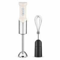 Mixeur Plongeant Électrique 400W, Mixeur à Main Domestique, Moteur DC, 2 Vitesses, Acier Inoxydable 304, En Stock Usine