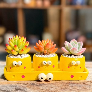 MSH Pots en résine pour micro-paysages, style dessin animé, pour fougères d'intérieur et plantes <span class=keywords><strong>vertes</strong></span> de bureau - Product Image 4