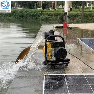 RisesSolar 750w <b>Solar</b> Powered Water <b>Pump</b> <b>Solar</b> Surface <b>Pump</b> With MPPT Controller Brushless Centrifugal <b>Pump</b> for Agriculture RSCQ - Product Image 2