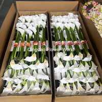 Meilleur vendeur de fleurs artificielles en EVA, calla noire et violette, centre de table de mariage, décoration, fleurs au toucher réel, vente en gros