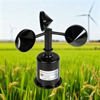 Anémomètre RK100-02 3 coupelles 4-20mA RS485 Modbus – Capteur de vitesse du vent économique pour l'agriculture, l'irrigation et les stations météorologiques intelligentes