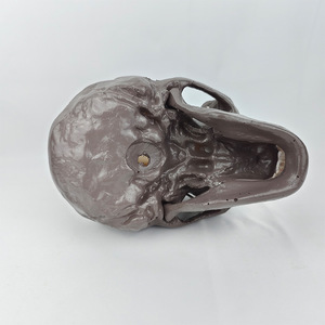Modèle de crâne humain de Pékin - Modèle d'évolution humaine pour l'enseignement de l'anthropologie, l'exposition muséale et la recherche scientifique - Product Image 2