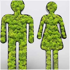 Tapis d'herbe artificielle, <span class=keywords><strong>fausse</strong></span> <span class=keywords><strong>plante</strong></span> <span class=keywords><strong>murale</strong></span> en mousse chinoise, <span class=keywords><strong>plante</strong></span> artificielle esthétique, succulente, bonsaï, herbe artificielle florale, gazon artificiel - Product Image 4