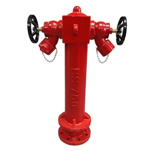 Manufacture fire fighting equipment 4inch double outlet outdoor wet type 2 way pillar fire hydrant