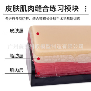 Modèle de simulation de peau en forme d'arc pour l'incision chirurgicale et la suture, modèle d'entraînement à la suture cutanée pour l'enseignement médical - Product Image 4