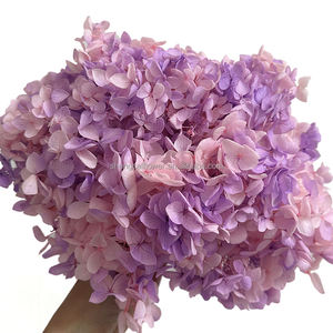 <span class=keywords><strong>Bouquet</strong></span> de <span class=keywords><strong>fleurs</strong></span> murales <span class=keywords><strong>stabilisées</strong></span> en gros, pétales véritables, boîte florale, hortensias stabilisés, Saint-Valentin, Noël - Product Image 2