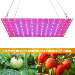 Lámpara LED de Cultivo de 45W para Todas las Plantas, Enchufe US/EU, 169 LED, Bombilla LED de 45W para Plantas, Invernaderos, Lámpara Fitoluminaria de Interior - Product Image 2