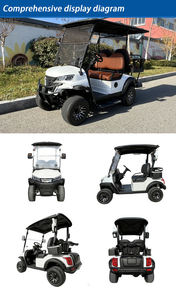 Carrito de Golf Elevado de 2 Plazas BETETEK con Faros LED para Uso Comunitario y en Parques para Carreteras No Públicas - Product Image 2