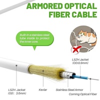 Cable de Fibra Óptica SC/ACP de 10 Pies, Revestimiento de PVC, Blindado Industrial, Monomodo, para Internet de Alta Velocidad (9/125m OS1/OS2)