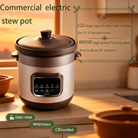 Marmite Électrique en Céramique Multifonctionnelle, Cuiseur Lent Automatique, Contrôle Numérique Intelligent par Minuteur, Grande Capacité, Usage Domestique