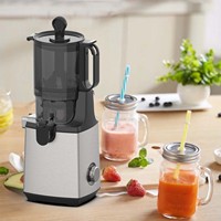 105SJ acier inoxydable 200W presse-agrumes électrique automatique usage domestique couleur personnalisée presse à froid Machine pour carottes