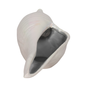 Scultura Decorativa a Forma di Conchiglia Marina, Statua Costiera per Soggiorno, Bagno, Ufficio, Arredamento Casa - Product Image 3
